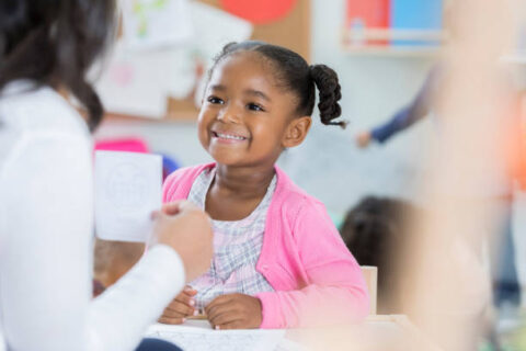 School Management System for Small Schools in Nigeria: Cost-Effective Options